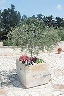 Tenuta Turchi