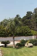Tenuta Turchi