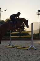 Padok Premium Hotel and Stables