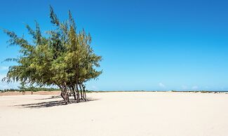 Ocean Beach Resort & Spa
