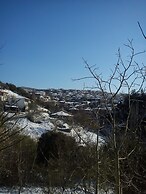 Viraggas