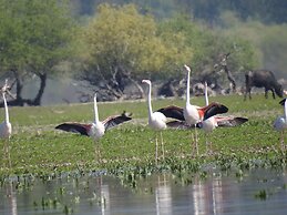 Viraggas