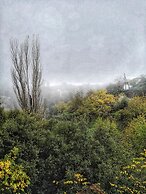 Viraggas