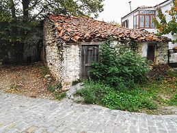 Viraggas