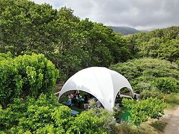 Onar Andros
