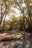 Onar Andros