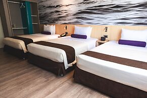 Palmetto Hotel Business San Borja