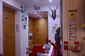 Ecolodge Coppola Guesthouse