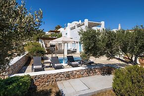 Anema Boutique Hotel & Villas Santorini