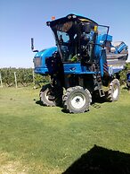 Posada Cavieres Wine Farm