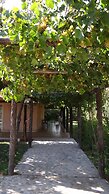 Posada Cavieres Wine Farm