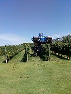 Posada Cavieres Wine Farm
