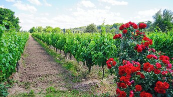 Posada Cavieres Wine Farm