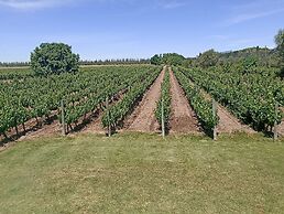 Posada Cavieres Wine Farm