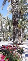 Alicante San Nicolás