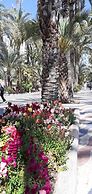Alicante San Nicolás