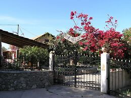 Olive Tree Cottages