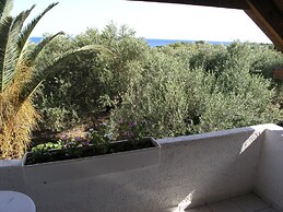 Olive Tree Cottages