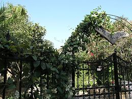 Olive Tree Cottages