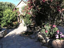 Olive Tree Cottages