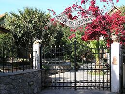 Olive Tree Cottages