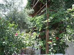 Olive Tree Cottages