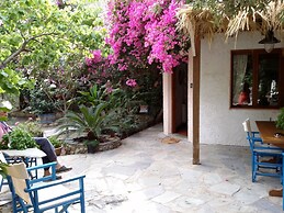 Olive Tree Cottages