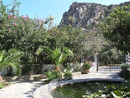 Olive Tree Cottages