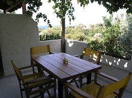 Olive Tree Cottages