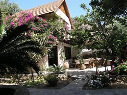 Olive Tree Cottages