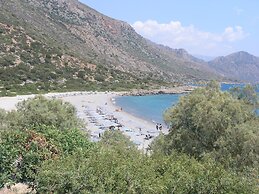 Olive Tree Cottages