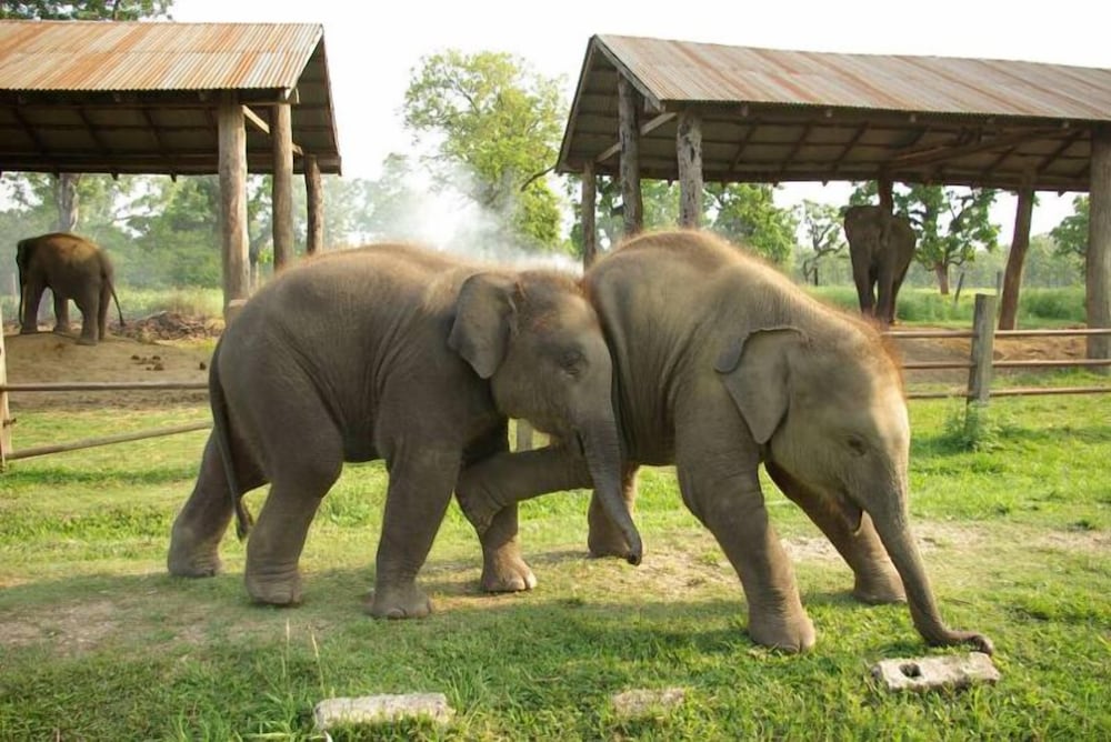 Rhino Lodge & Hotel