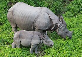 Rhino Lodge & Hotel