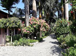 Sauraha Resort