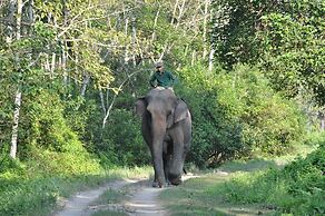 Sauraha Resort