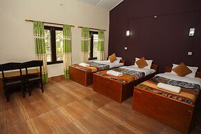 Sauraha Resort