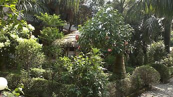 Sauraha Resort