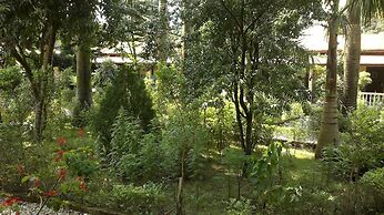 Sauraha Resort