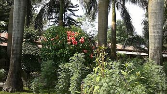 Sauraha Resort