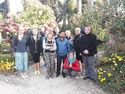 Sauraha Resort