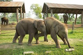 Jungle Wildlife Camp