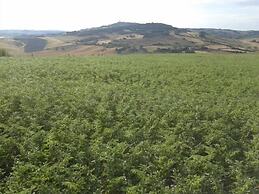 Agriturismo Barbi
