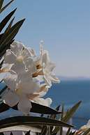 Peninsula Resort & Spa - All Inclusive