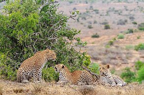 Kwandwe Great Fish River Lodge