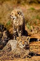 Kwandwe Great Fish River Lodge