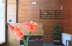 Hotel El Roble