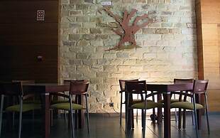 Hotel El Roble