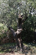 Vila Keti