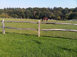 The Old Dairy Farm
