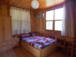 Olympos Orange